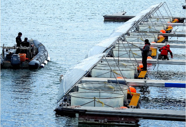 Mesocosms