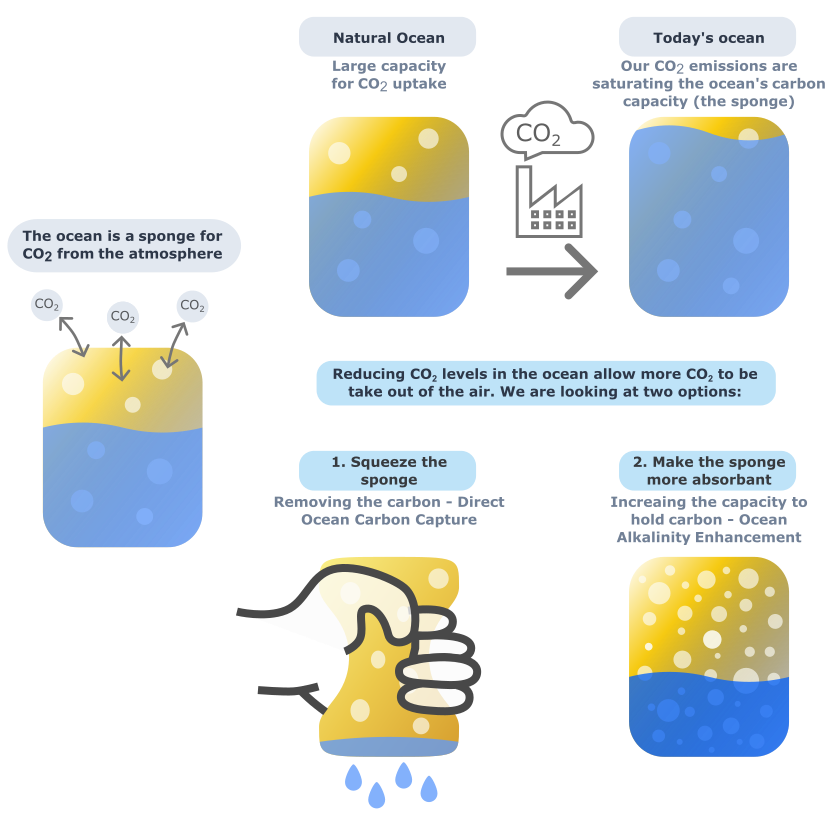 The ocean as a sponge for carbon