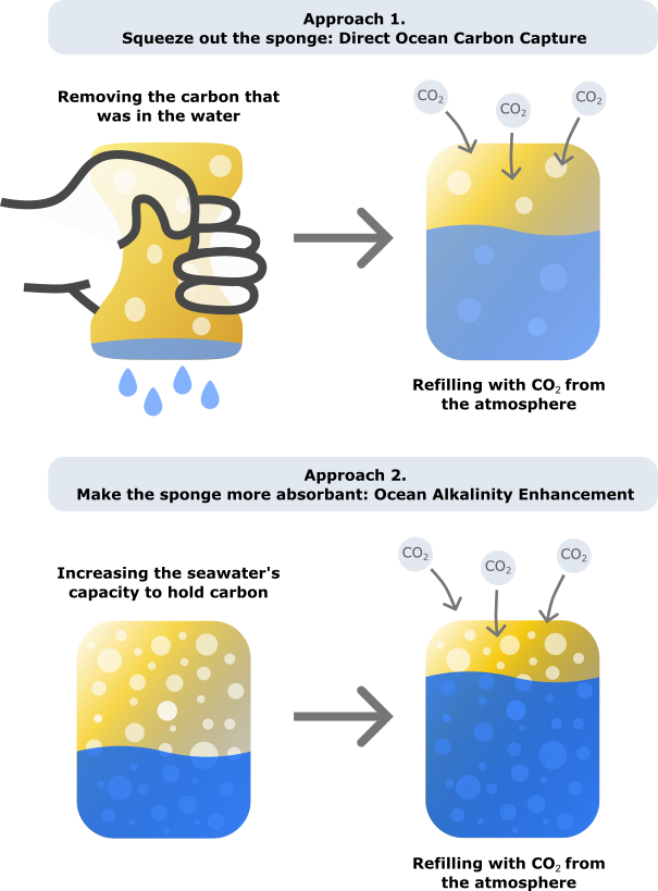 Removal explained as a sponge