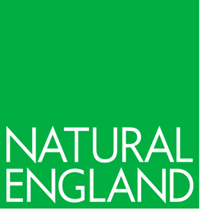 NE